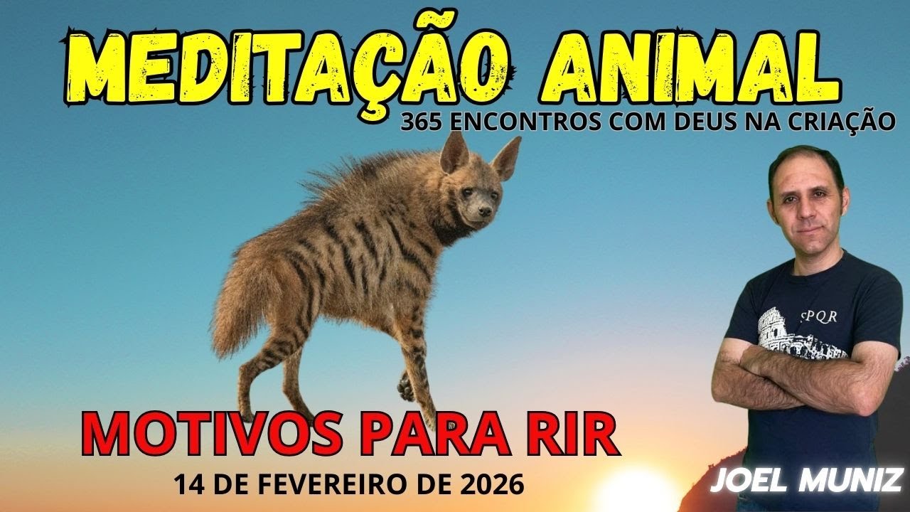MOTIVOS PARA RIR - 14 DE FEVEREIRO DE 2026 - MEDITAÇÃO ANIMAL