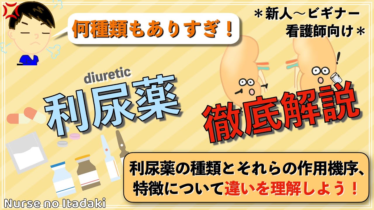 【利尿薬 徹底解説！】種類と作用機序､特徴の違いを理解しよう！