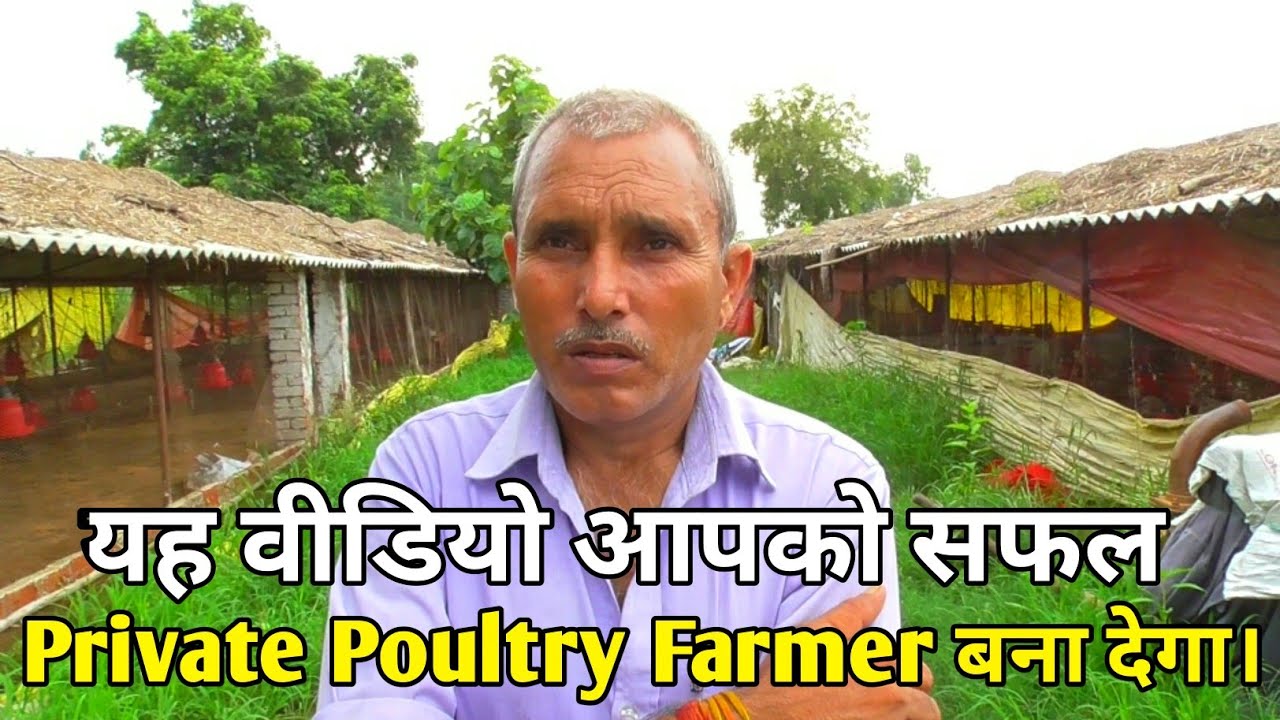 Successful Private Poultry Farmer कैसे बने इस किसान ने पूरी बात बताई | Best private poultry farmer,