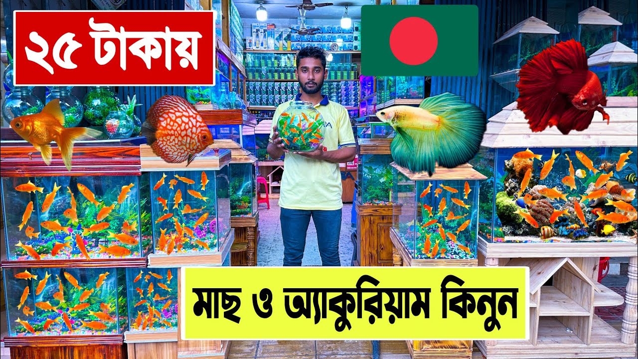 25 টাকায় 🔥মাছ ও অ্যাকুরিয়াম কিনুন | aquarium fish price in bangladesh | katabon fish market 2023