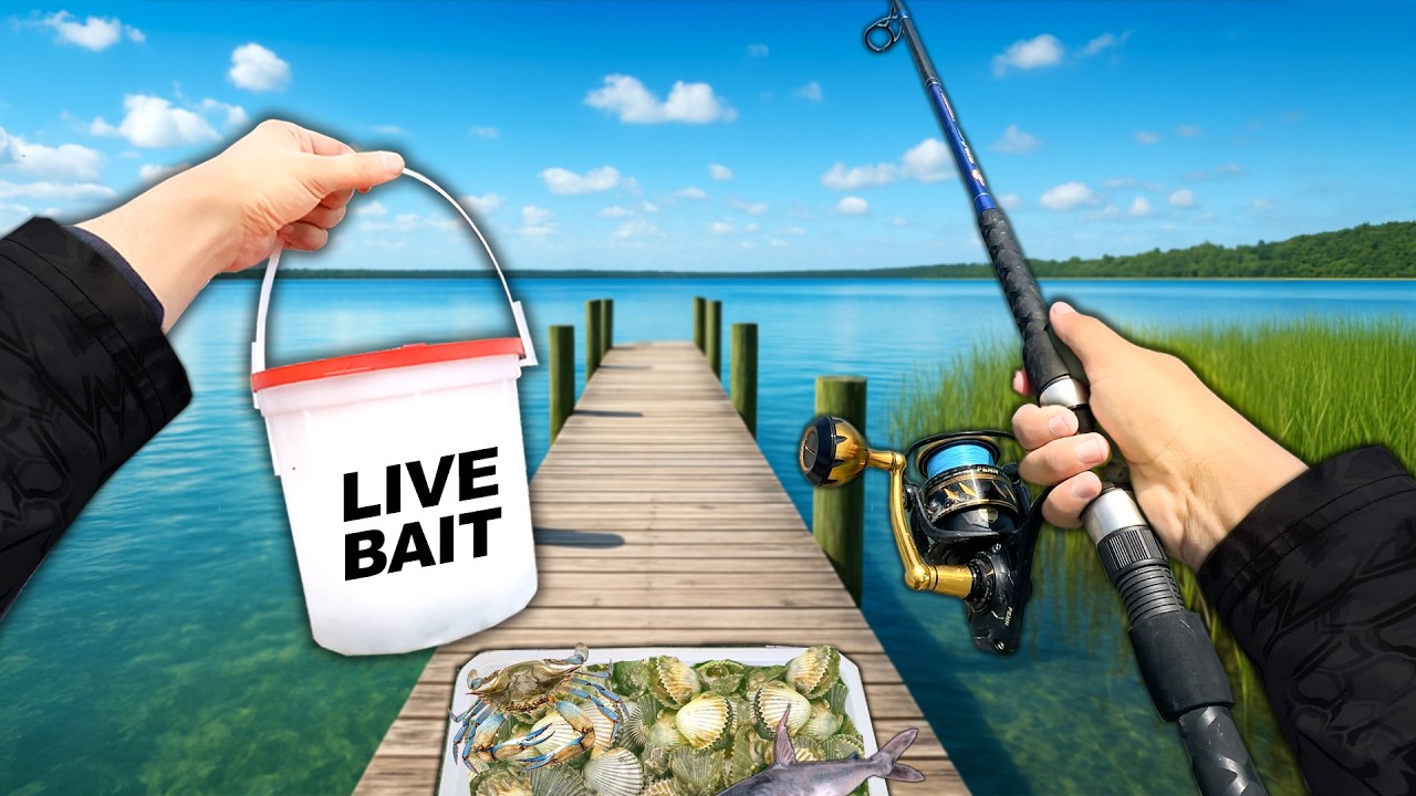 Eating Whatever I Catch.. (Fishing, Scalloping, Crabbing) Florida Catch and Cook