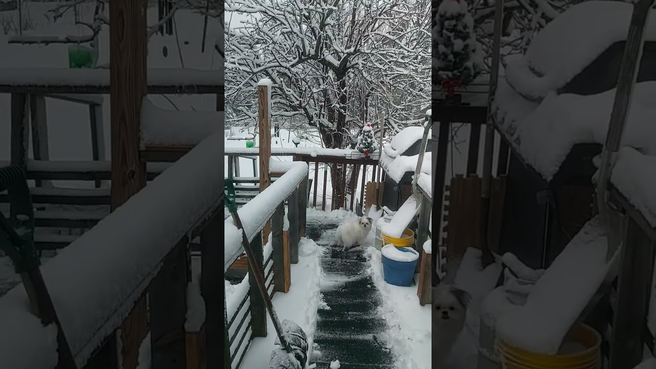 Yep, Winter is still in the North Woods 