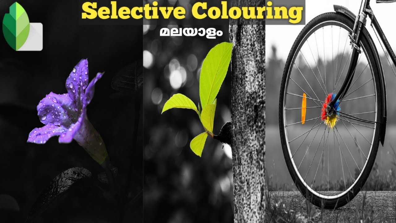 Selective Colour editing using Snapseed in Malayalam