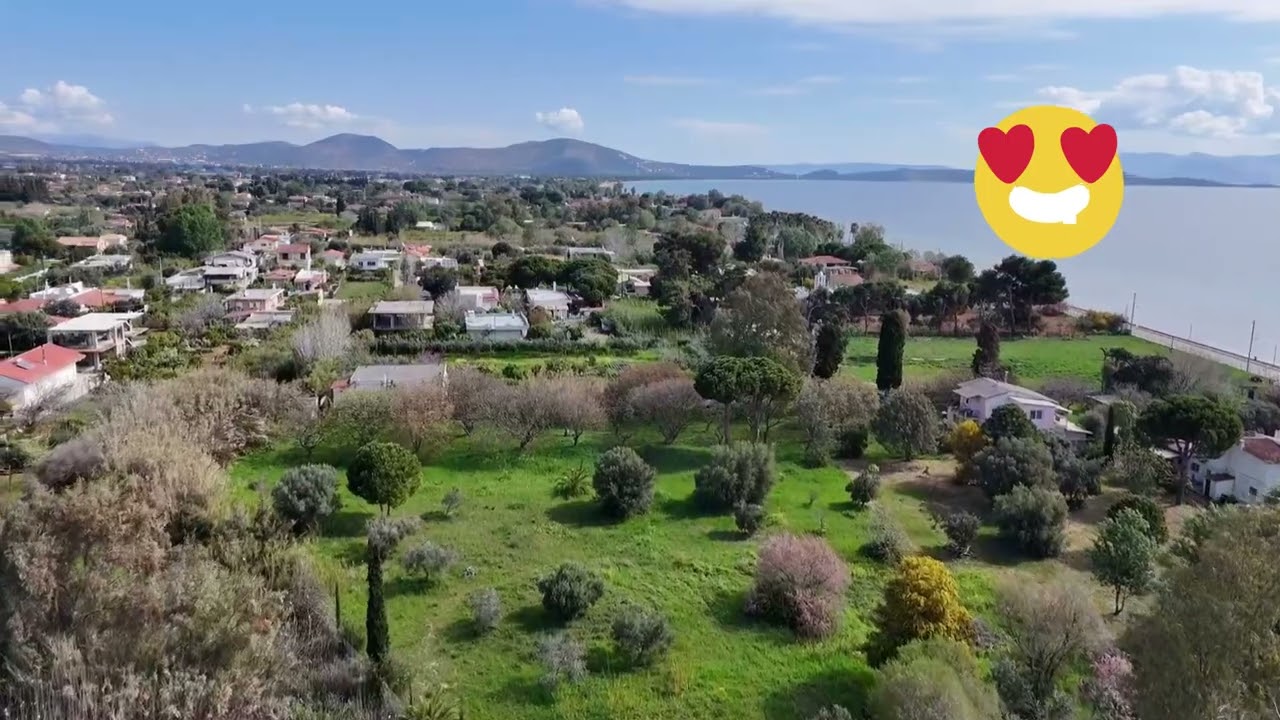 Μια μαγευτική πτήση με drone πάνω από την παραλία του Μαραθώνα. 😊