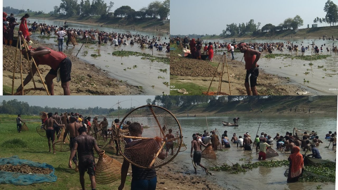 বাউত এর মাছ শিকার 