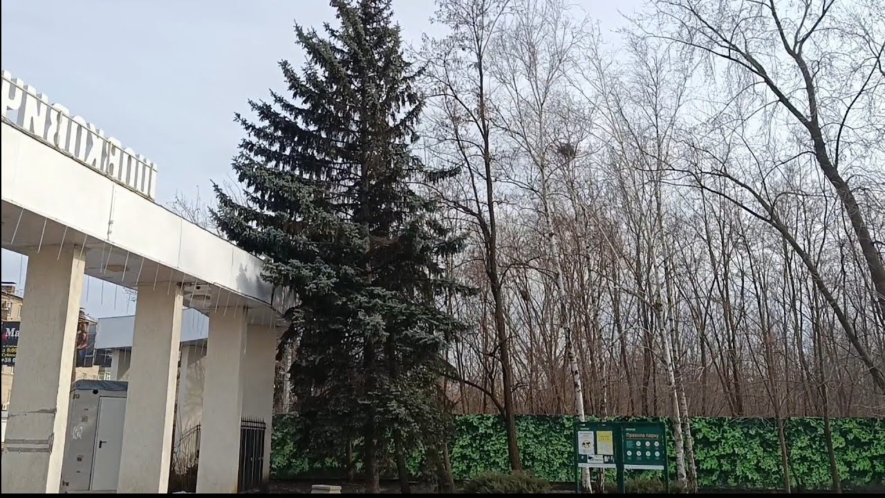 Славянск Сегодня 2 марта 2026 — Весна и парк. Блог 56