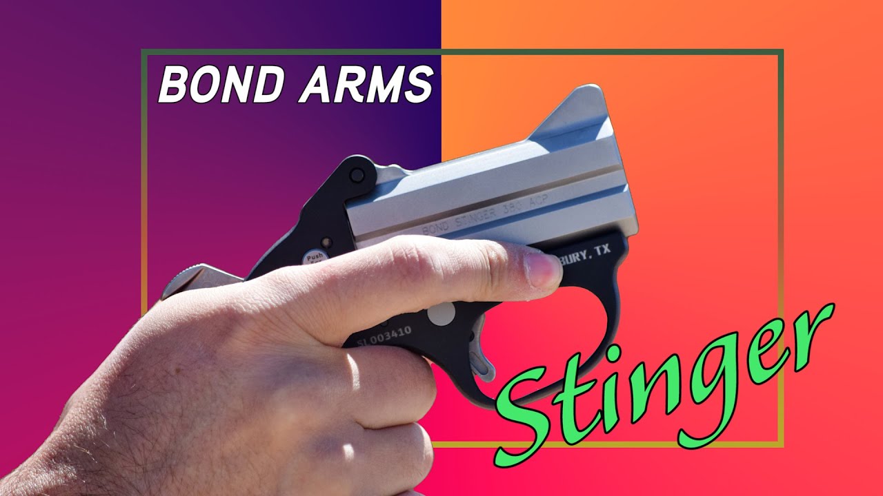 Обзор: Bond Arms Stinger