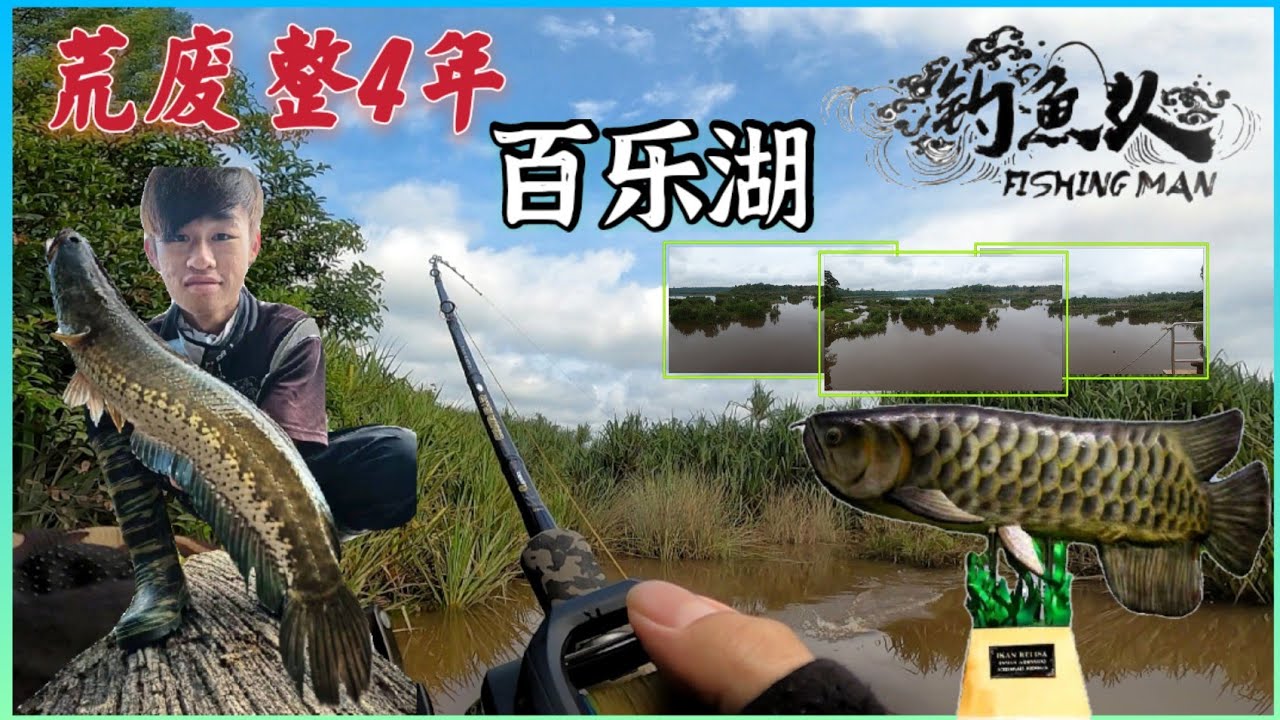 【Tasik Bera】荒废长达4年的观光景点！马来西亚最大的天然淡水湖泊//马来西亚半岛最大的沼泽地 【钓鱼人】