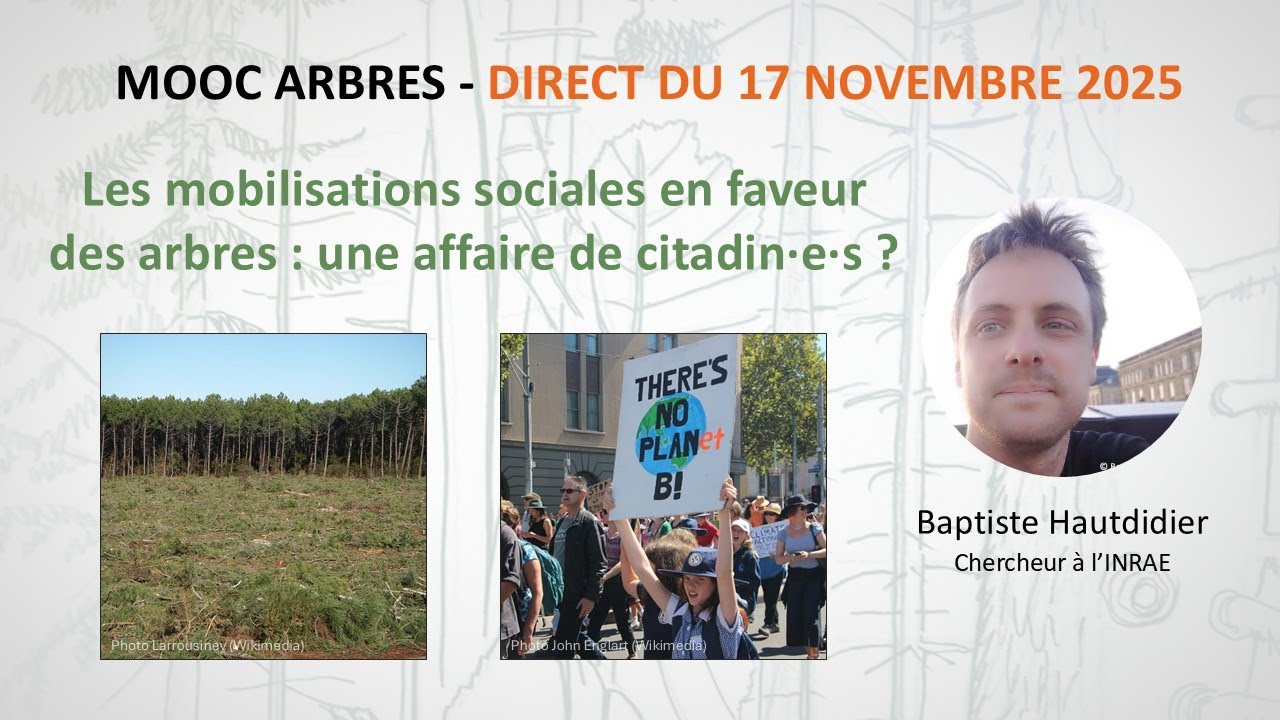 Les mobilisations sociales en faveur des arbres : une affaire de citadin·e·s ? / Baptiste Hautdidier
