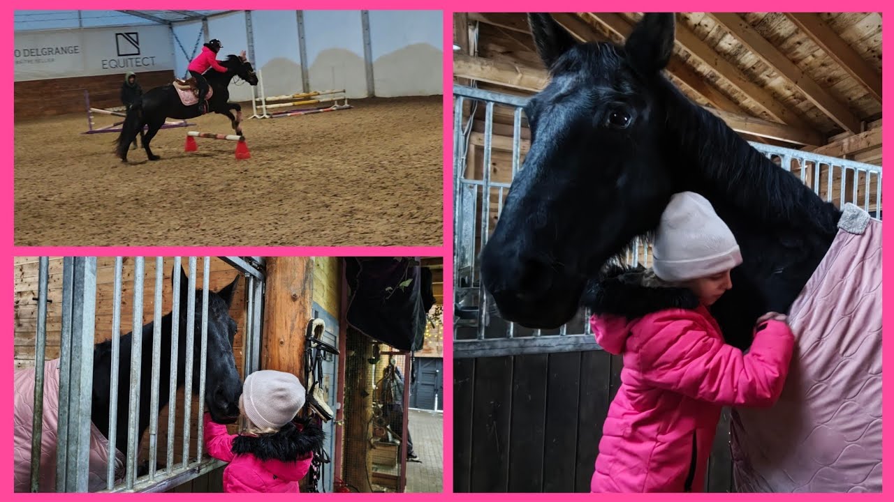 Trening skokowy z Arquerą| Jumping training with Arquera 🐎
