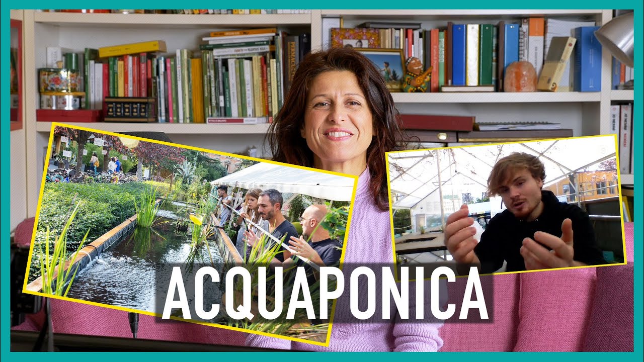 ACQUAPONICA: COS'È E COME FUNZIONA