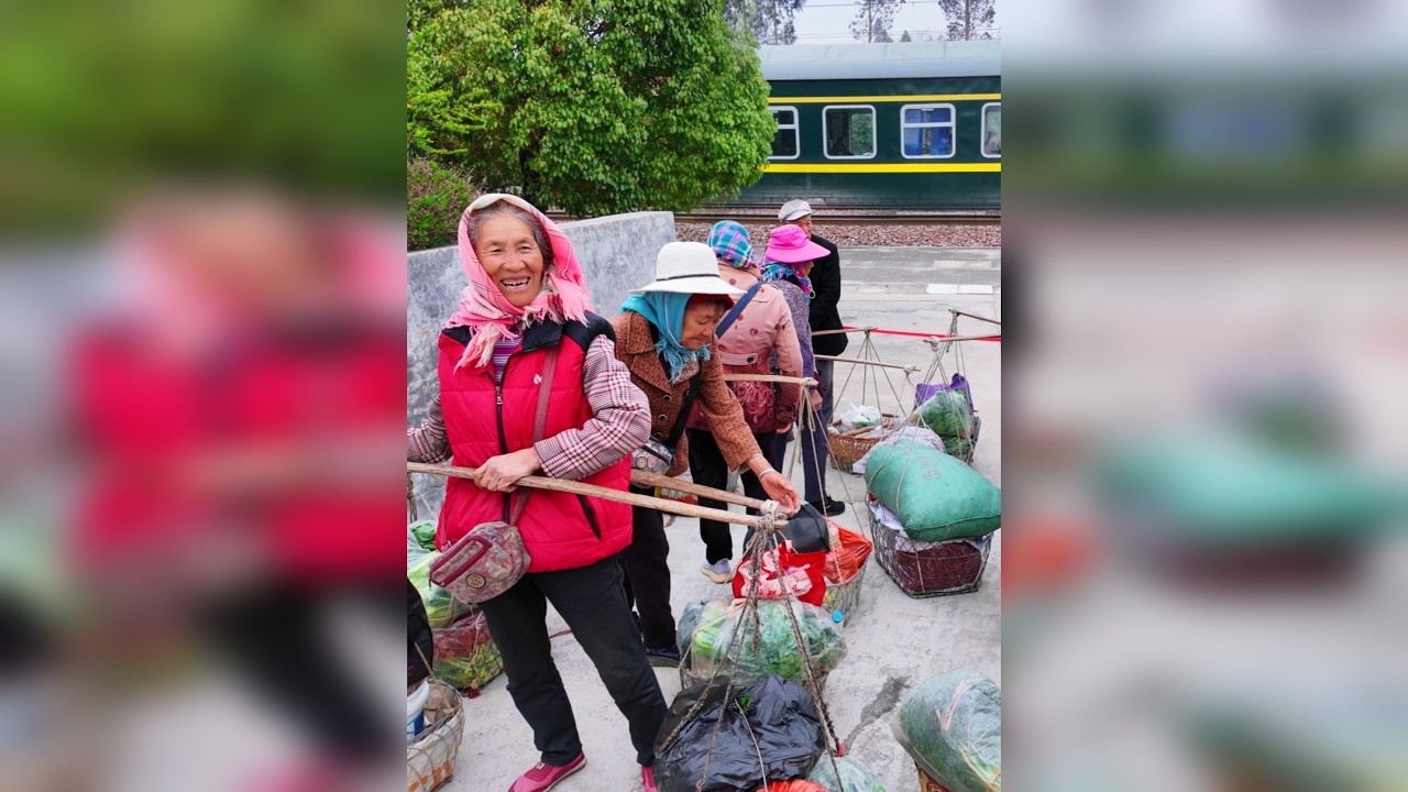 妇女节这天，云南村民坐公交车进城卖菜，我这样做令她们有点意外 妇女节这天，云南乡村菜农坐公交车进城卖菜，我这样祝她们节日快乐，令她们十分意外！