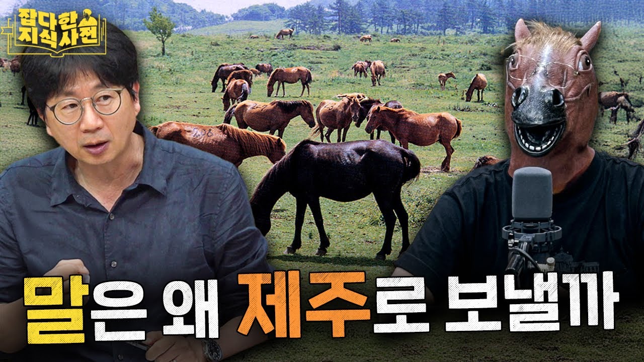 말들이 뛰노는 한국사, 말이 진행하는 잡지사🐴