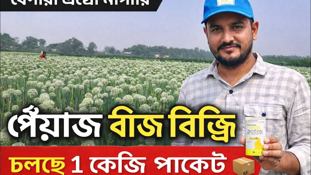 🔥👉 পেঁয়াজ বীজ বুকিং চলছে | ১ কেজি প্যাকেট | Bepari Agro Nursery
