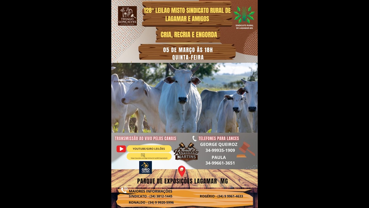 Leilao Sindicado Rural de Lagamar e Amigos 05-03-2026