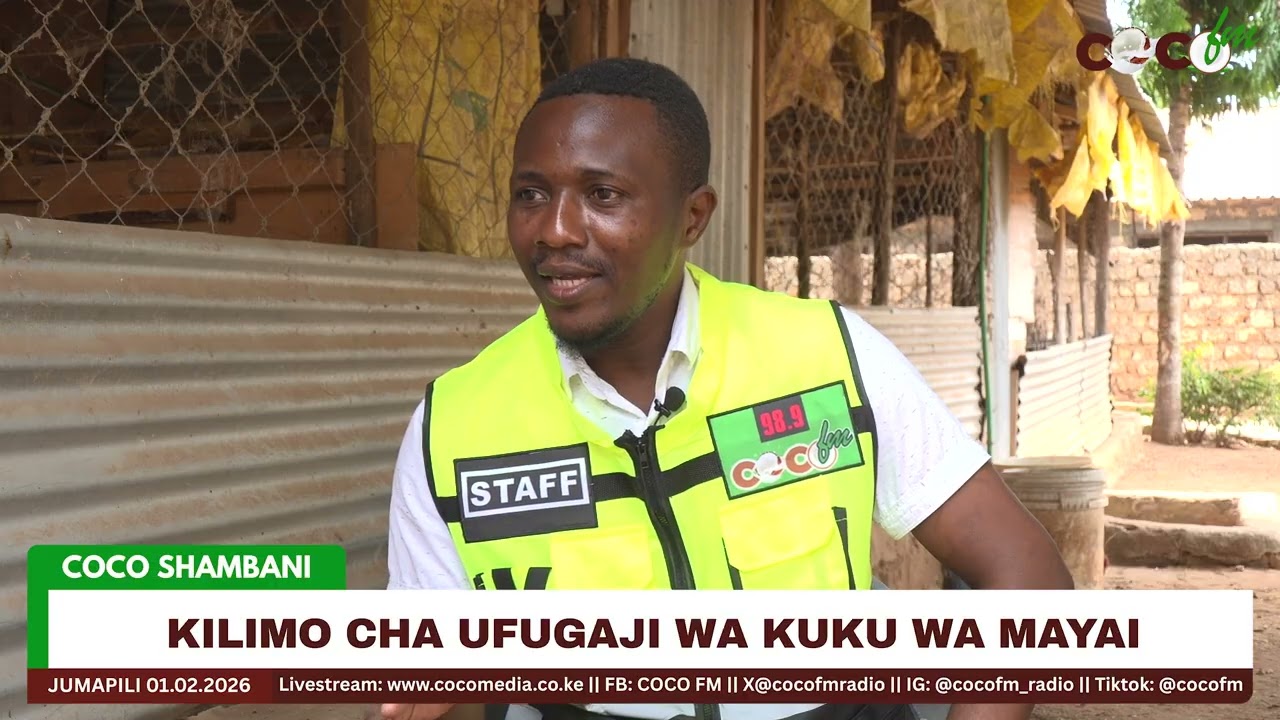 WAKULIMA WA KUKU WA MAYAI WAVUNA PAKUBWA KILIFI
