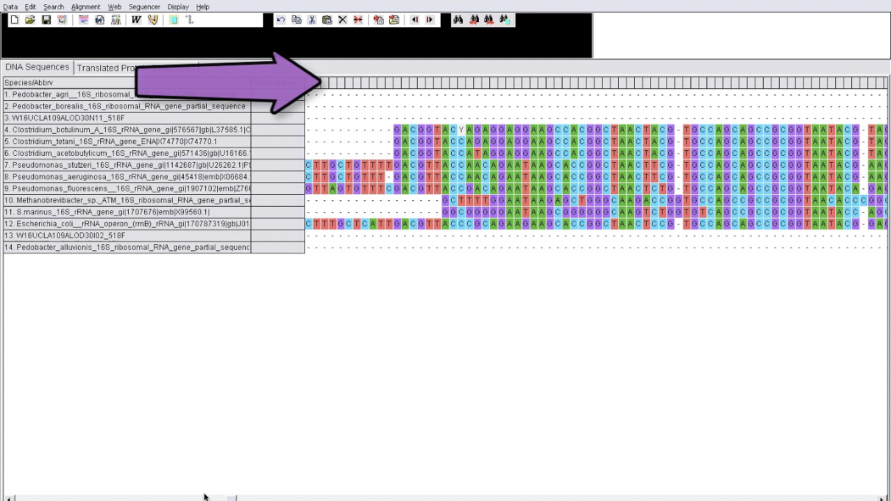 Tutorial: Mulitple Sequence Alignment