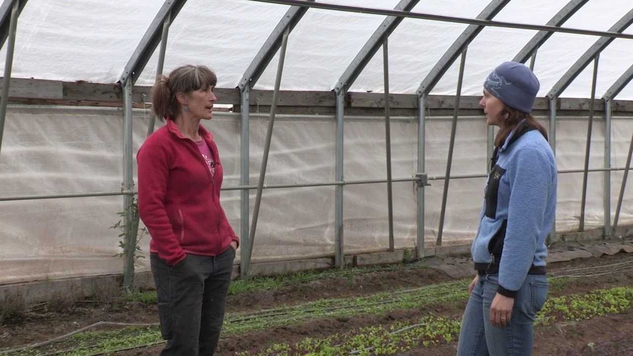 Hoop House, Caterpillar Tunnel, and High Tunnel –  In the Alaska Garden with Heidi Rader