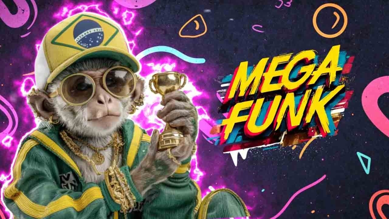 MEGA FUNK BRASIL 2025 🔊 PRESSÃO PESADA – O FUNK QUE TÁ VIRAL