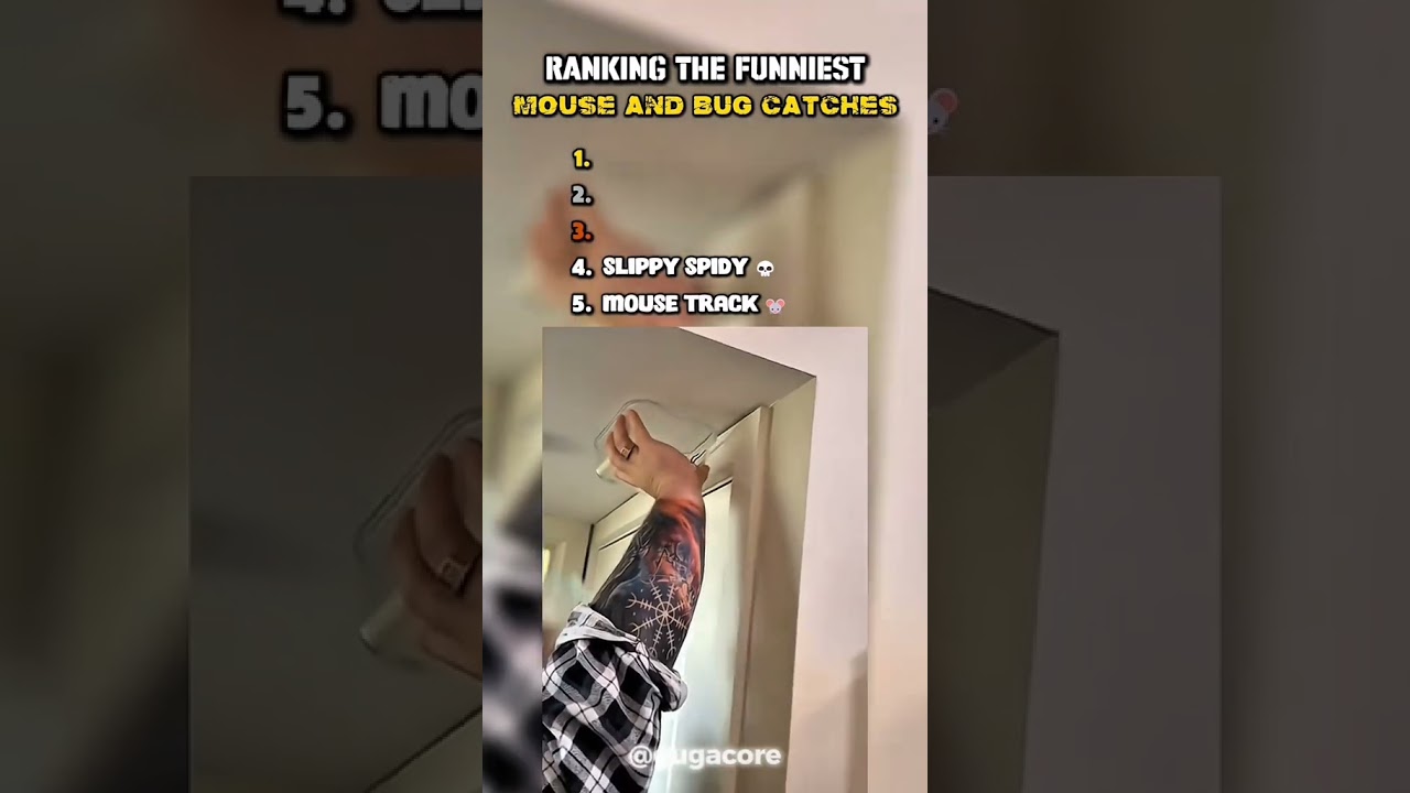 Ranking The Funniest Mouse And Bug Catches ( Last one is the Best) #mouse #bug #catches #ranking