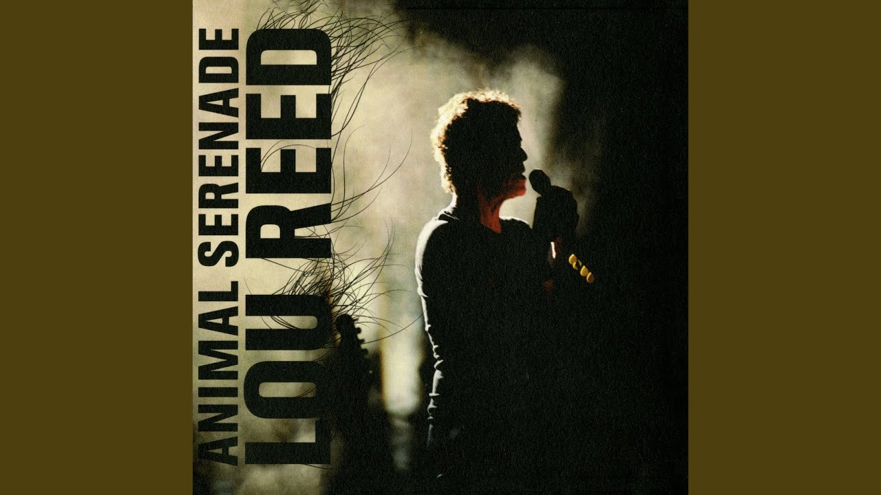Set the Twilight Reeling (Live)