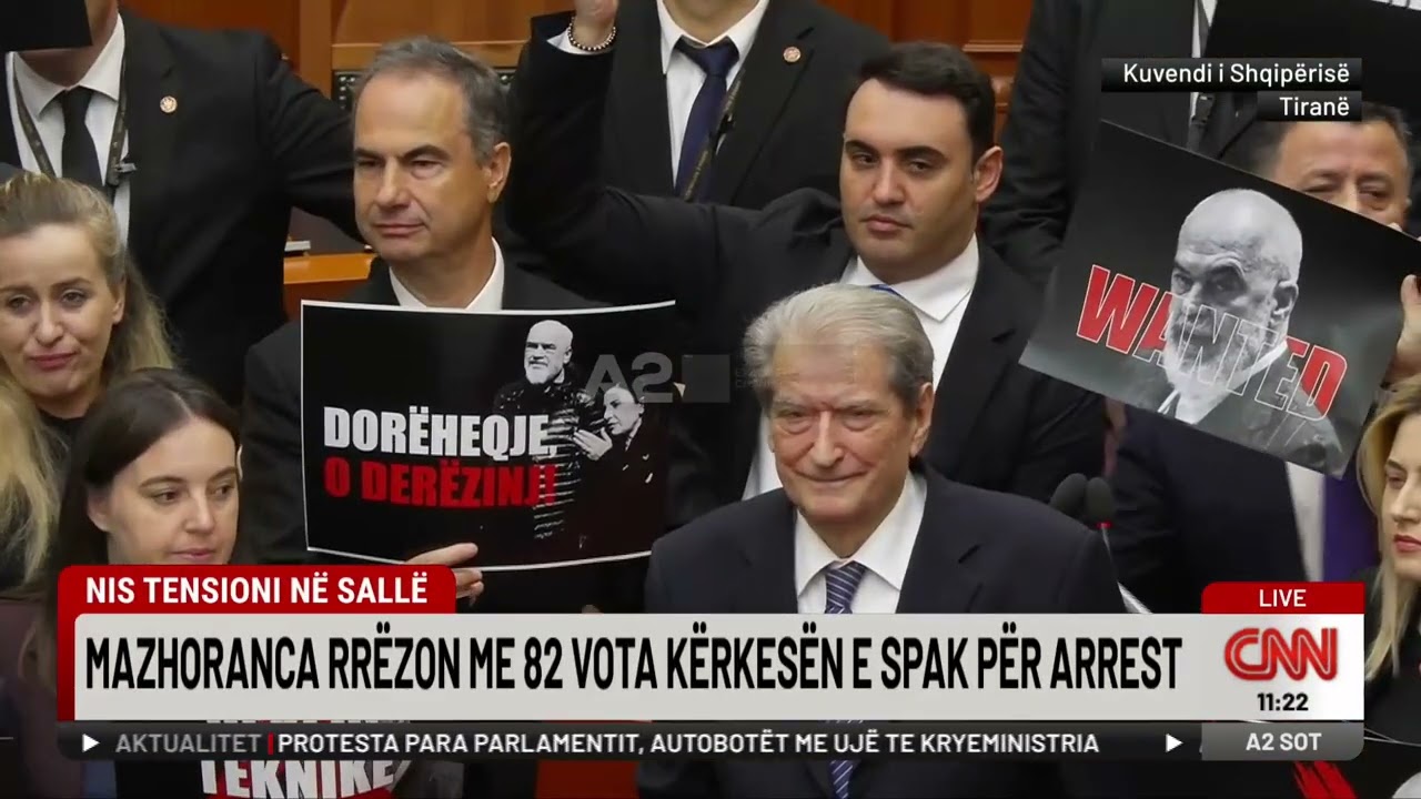 82 vota kundër SPAK, Mazhoranca 