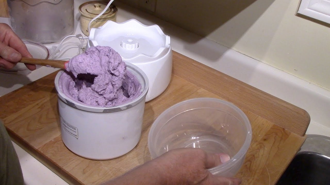 Wild Blueberry Ice Cream