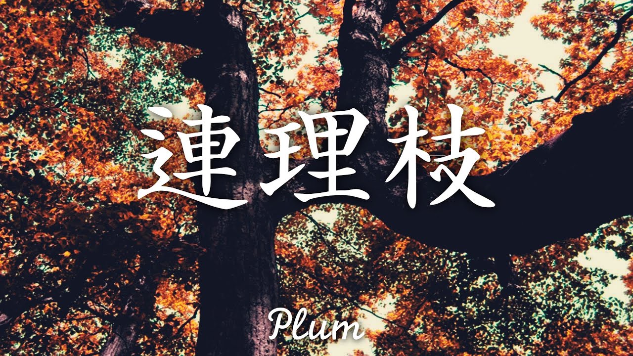 2019년을 보내며, 애절한 동양풍 피아노곡 / 연리지 (連理枝) by Plum