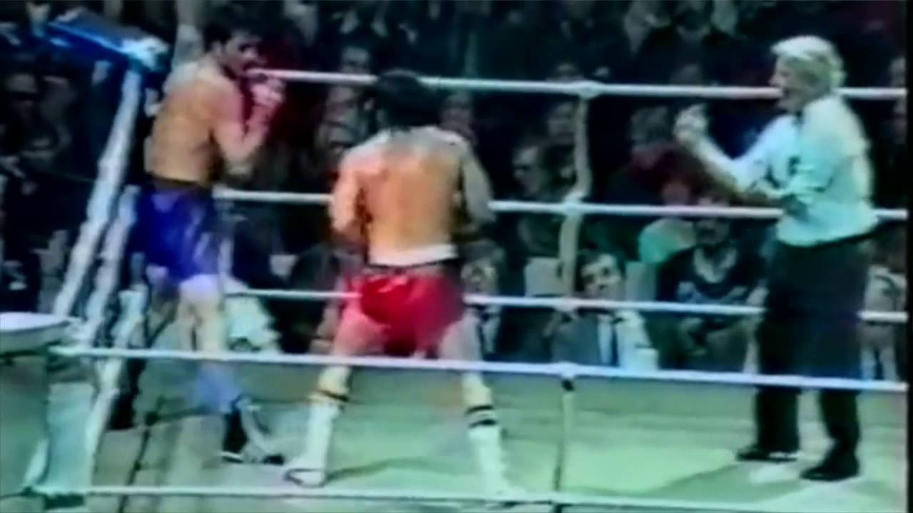 Marijan Bene&scaron; Knockouts | HD 2016