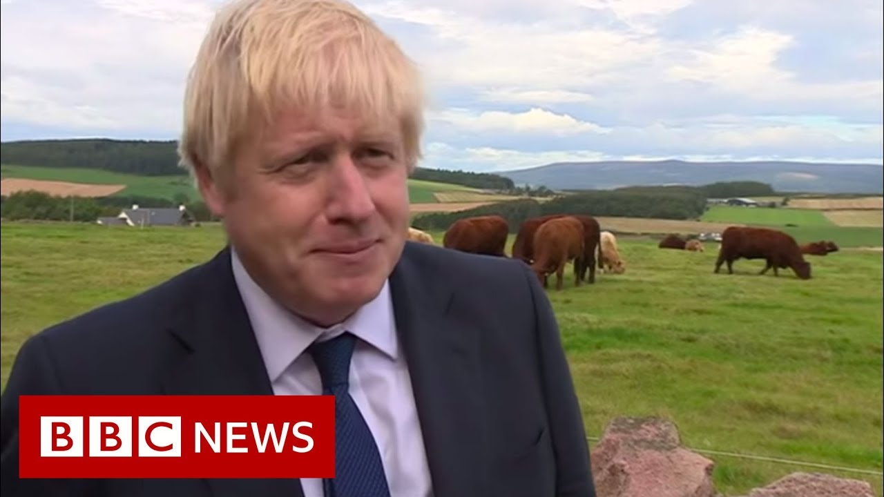 Brexit: MPs block Prime Minister&rsquo;s bid for early election &ndash; BBC News