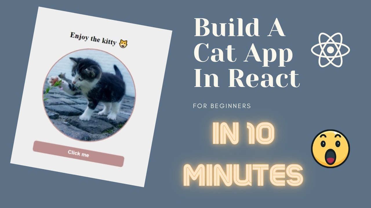 Random Cat App in React Js | Hooks in react for beginners
