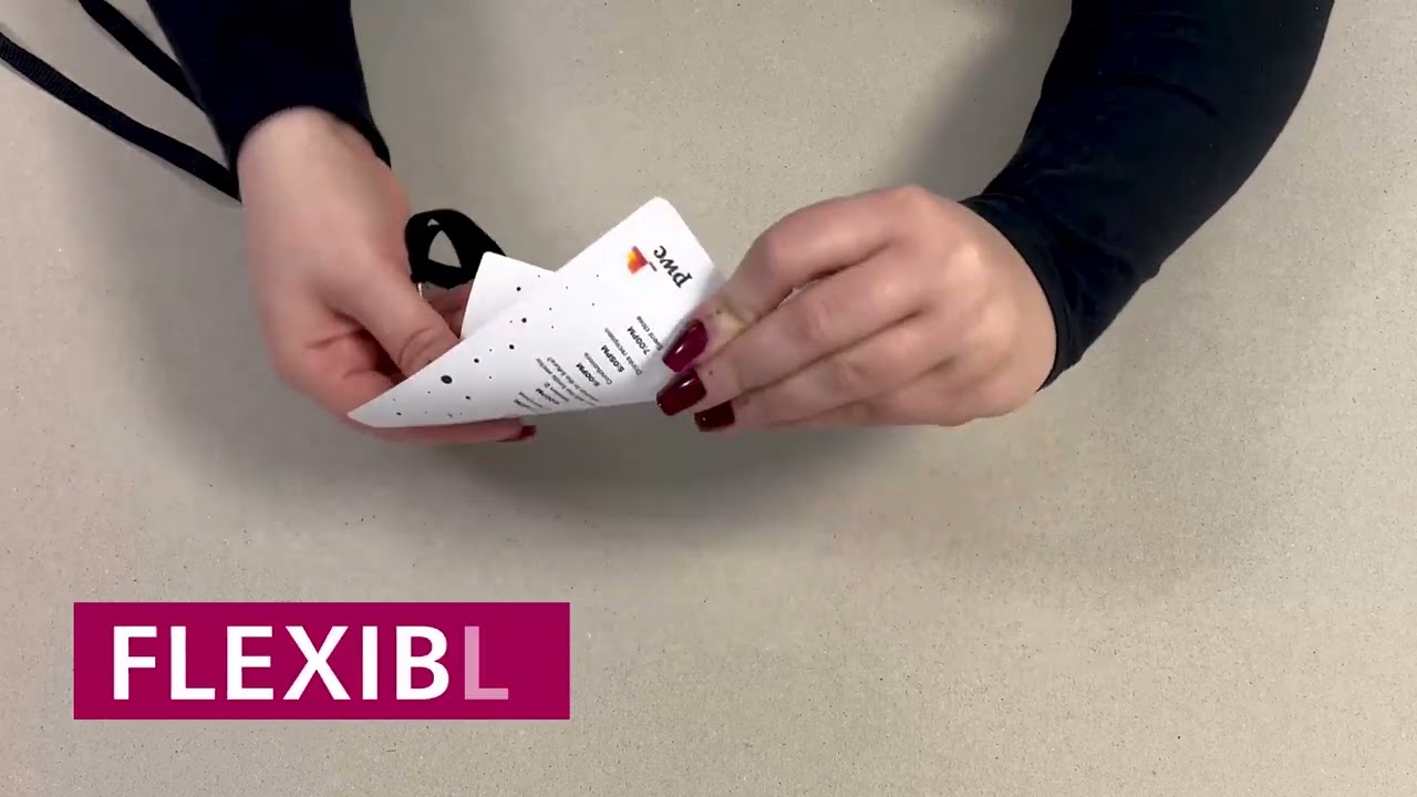 Badge Printing Demo