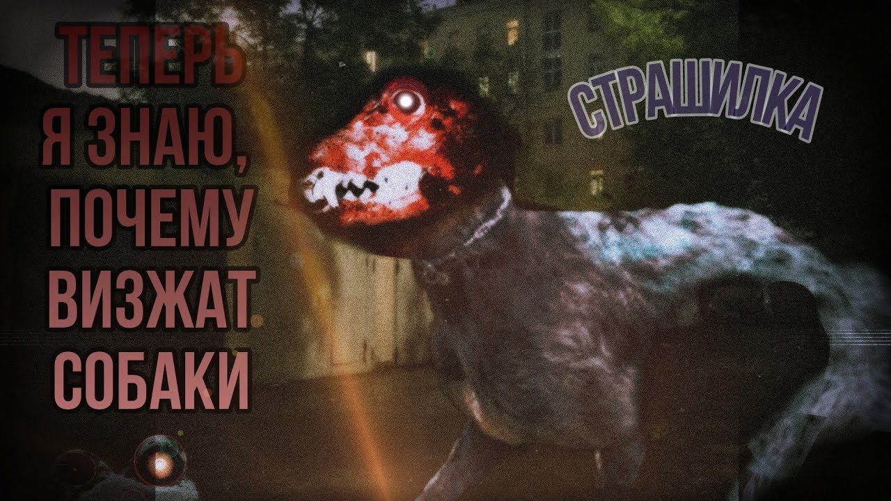 Теперь я знаю как визжат собаки |Страшилка гача| gacha страшилки на ночь |