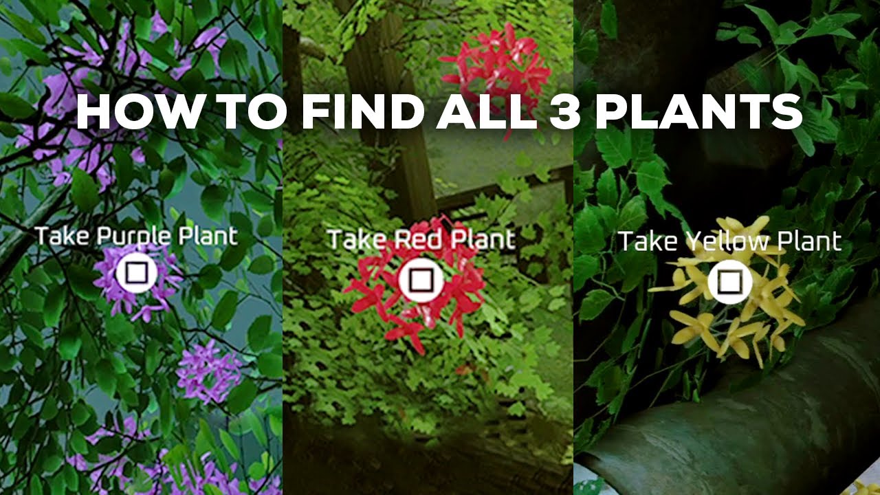 Stray | How to find all colored plants for Malo (Plant Locations)