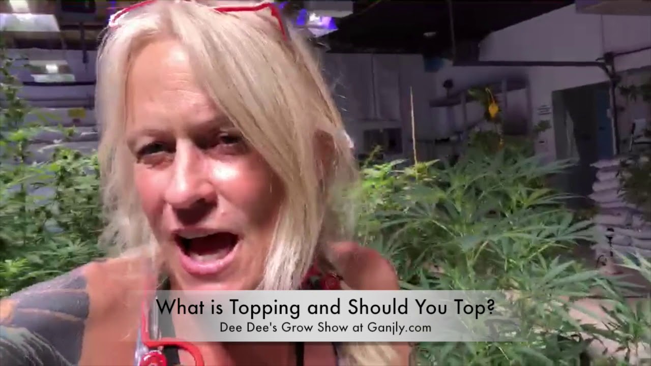 What is Topping and Should You Top?
