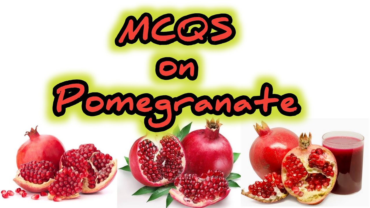 MCQS on Pomegranate II MCQ of Fruits II MCQS Horticulture