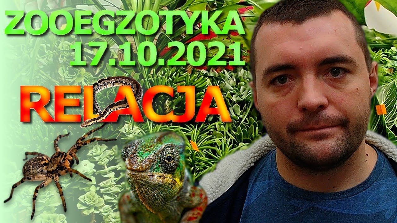 ZooEgzotyka 17.10.2021 - RELACJA