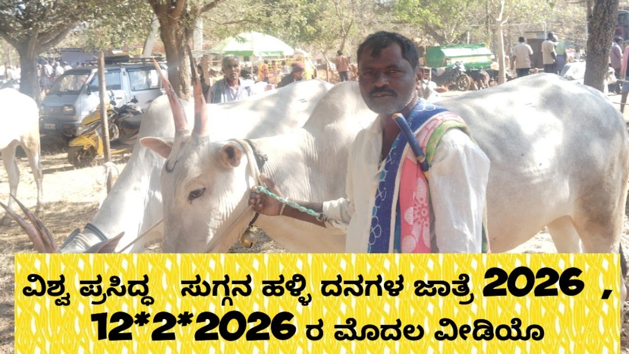 ದನಗಳ ತುಂಬು ಪರಿಷೆ ಸುಗ್ಗ ನಹಳ್ಳಿ ಜಾತ್ರೆ 2026@ Indian hallikar