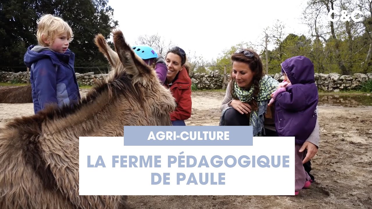 La ferme pédagogique de Paule 🐐