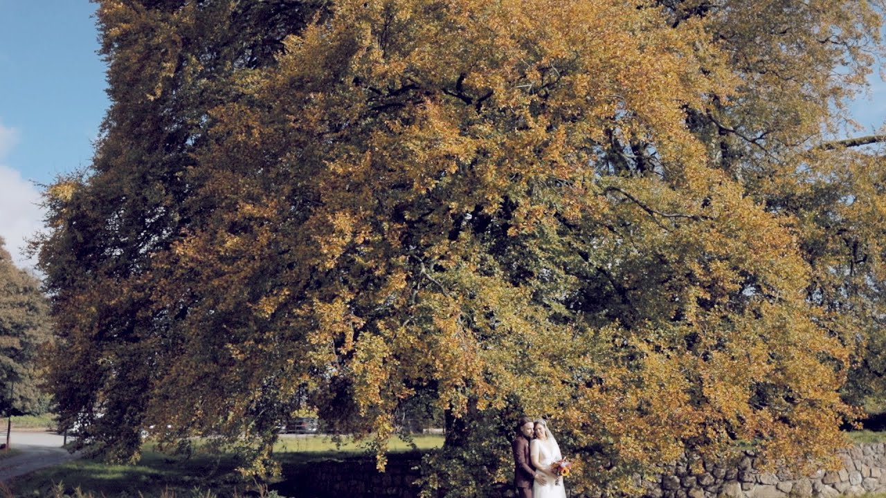 Mount Druid Wedding Video (October 2022)