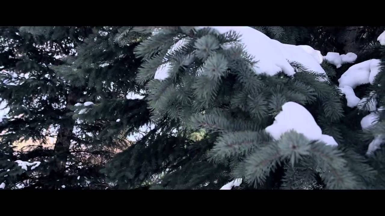 Zion I x Locksmith - Culture Freedom (Official Music Video)