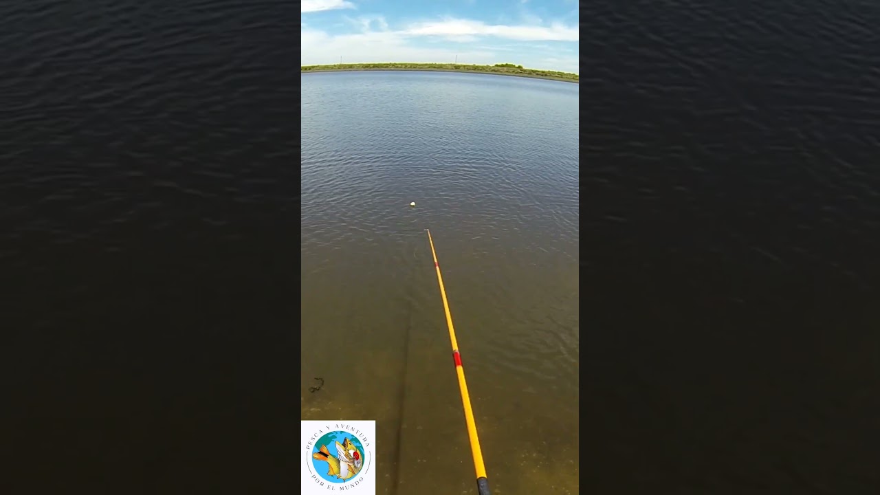 Pesca con boya #fishing #taruchas #pescaenuruguay #pesca #tips #tarariras #pescaconboya
