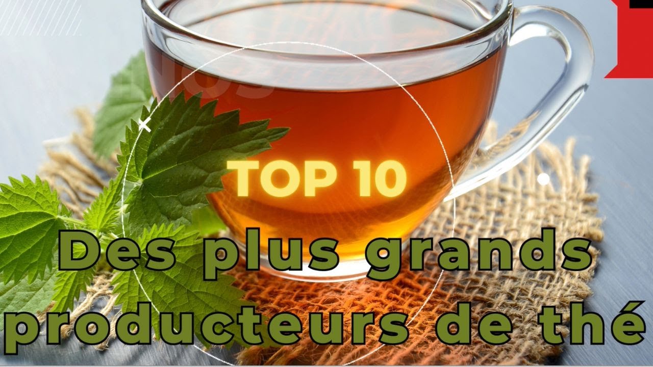 TOP PAYS PRODUCTEURS DE THE AU MONDE / CLASSEMENT DES PAYS PRODUCTEURS DE THE