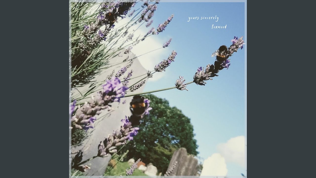 Lavender