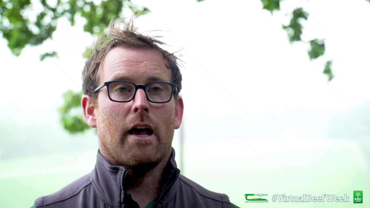 Grassland Management - Sean Roddy - Virtual Beef Week