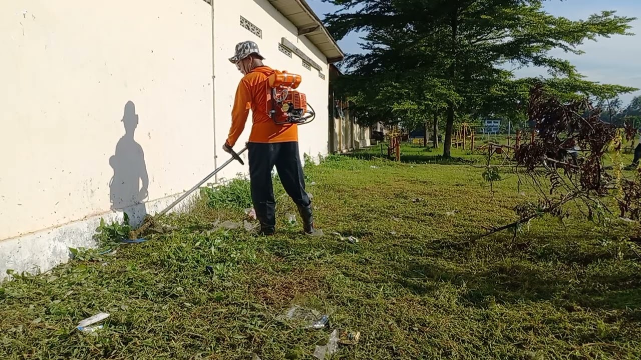 Semut ..mengganggu saat memotong rumput..smpn1nanggulan Kulon Progo..pagi tadi
