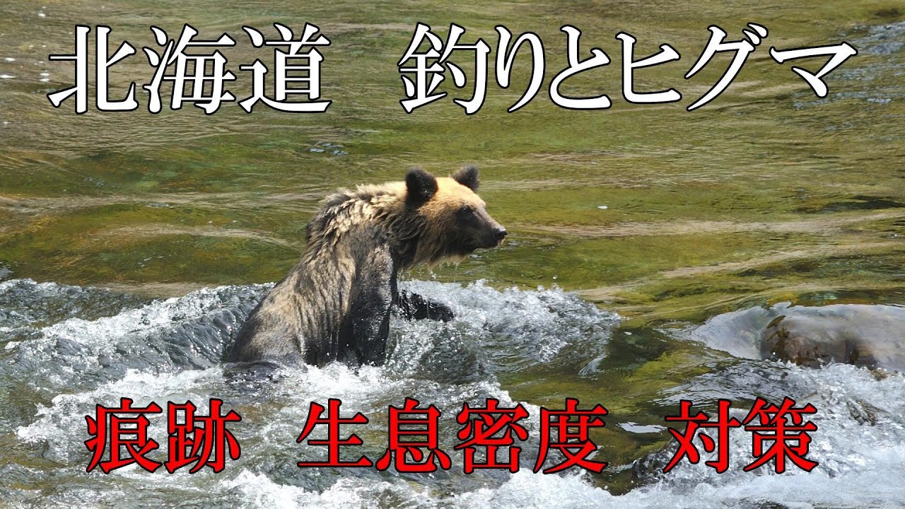北海道　釣りとヒグマ