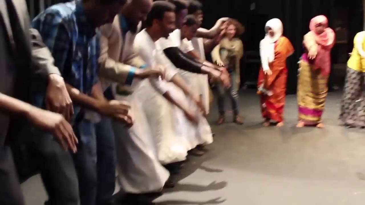 Somali Museum of MN at Empire