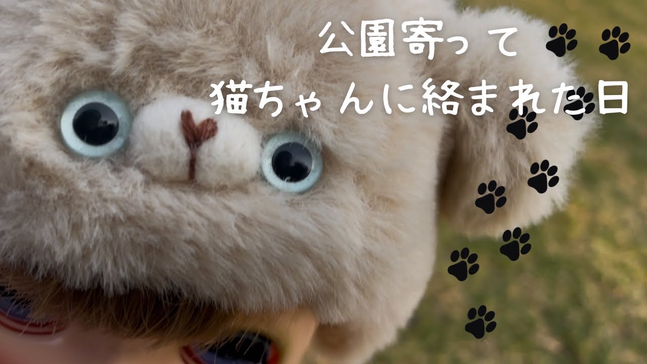 上海🇨🇳の公園12/17。かわいい猫さんが寄ってきた【Blythe】