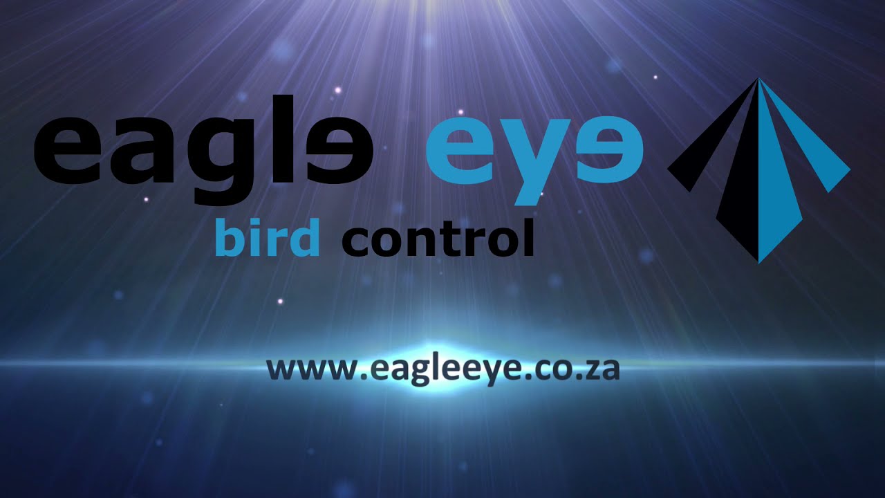 Eagle Eye Product and Placement Guide 2021